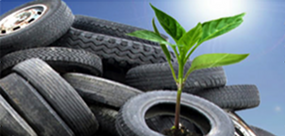 Seedling Tire